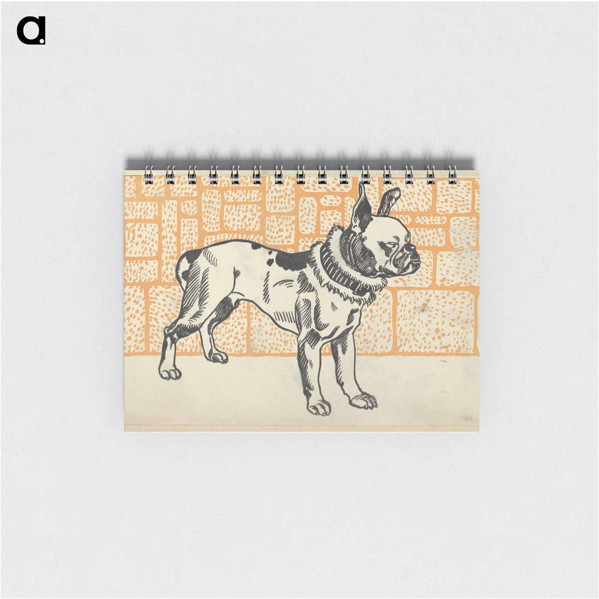 Pitbull Terrier - モリツ ユング Memo.