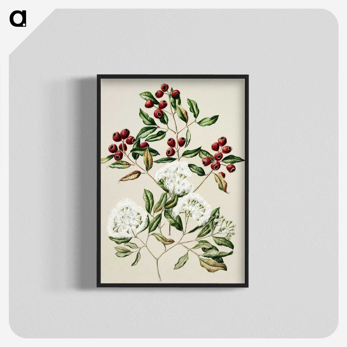 1-19_Native-Flowering-Plants-of-New-Zealand_blk-crop