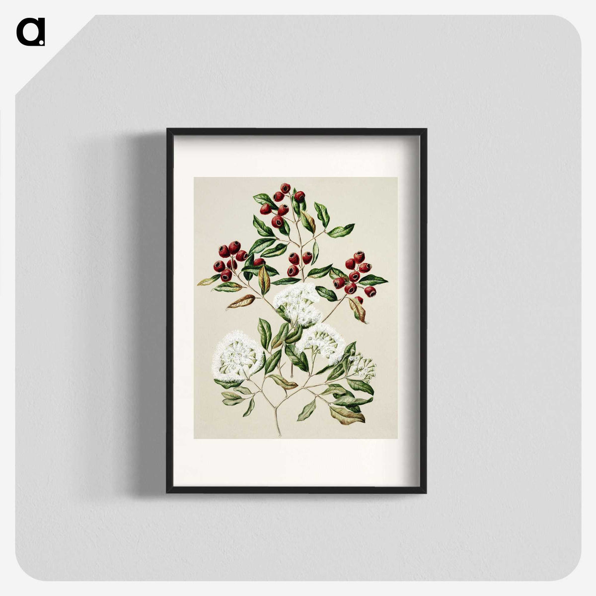 1-19_Native-Flowering-Plants-of-New-Zealand_blk