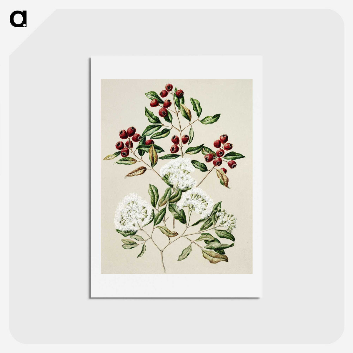 1-19_Native-Flowering-Plants-of-New-Zealand_hagaki