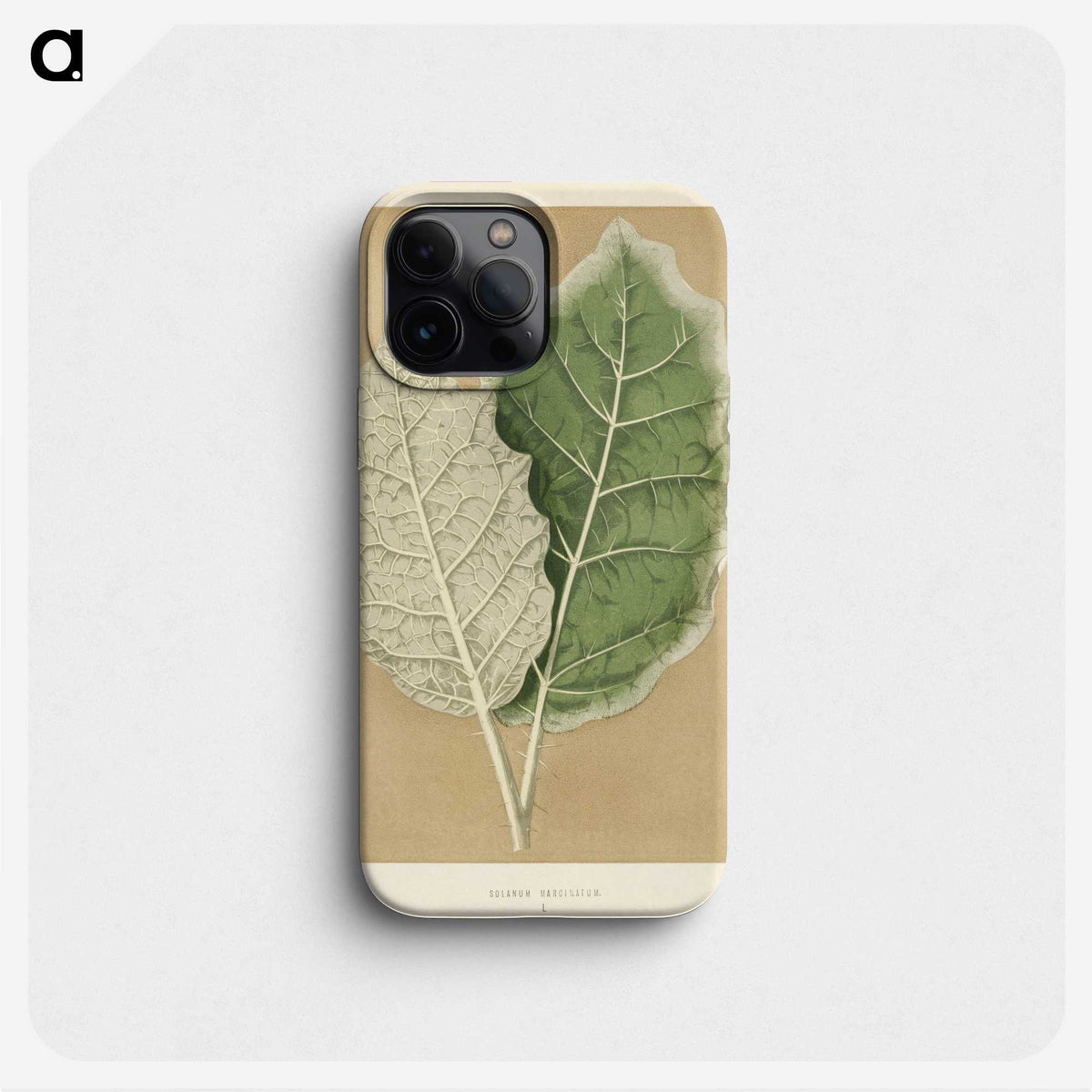 1-19_New-and-Rare-Beautiful-Leaved-Plants_phone