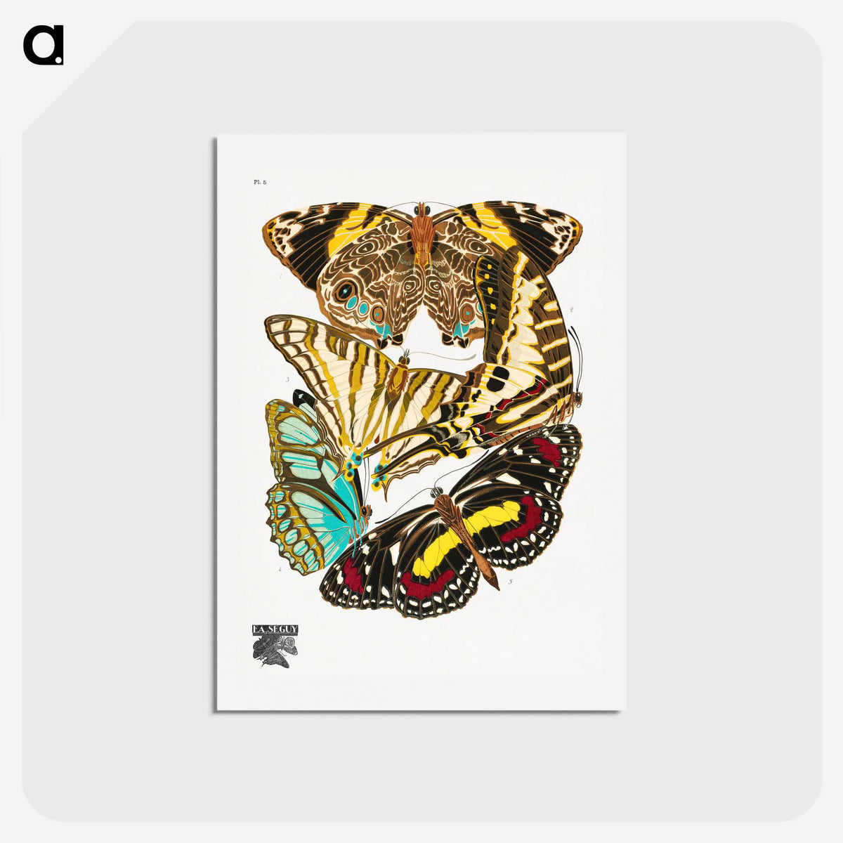 1-19_Papillons_hagaki