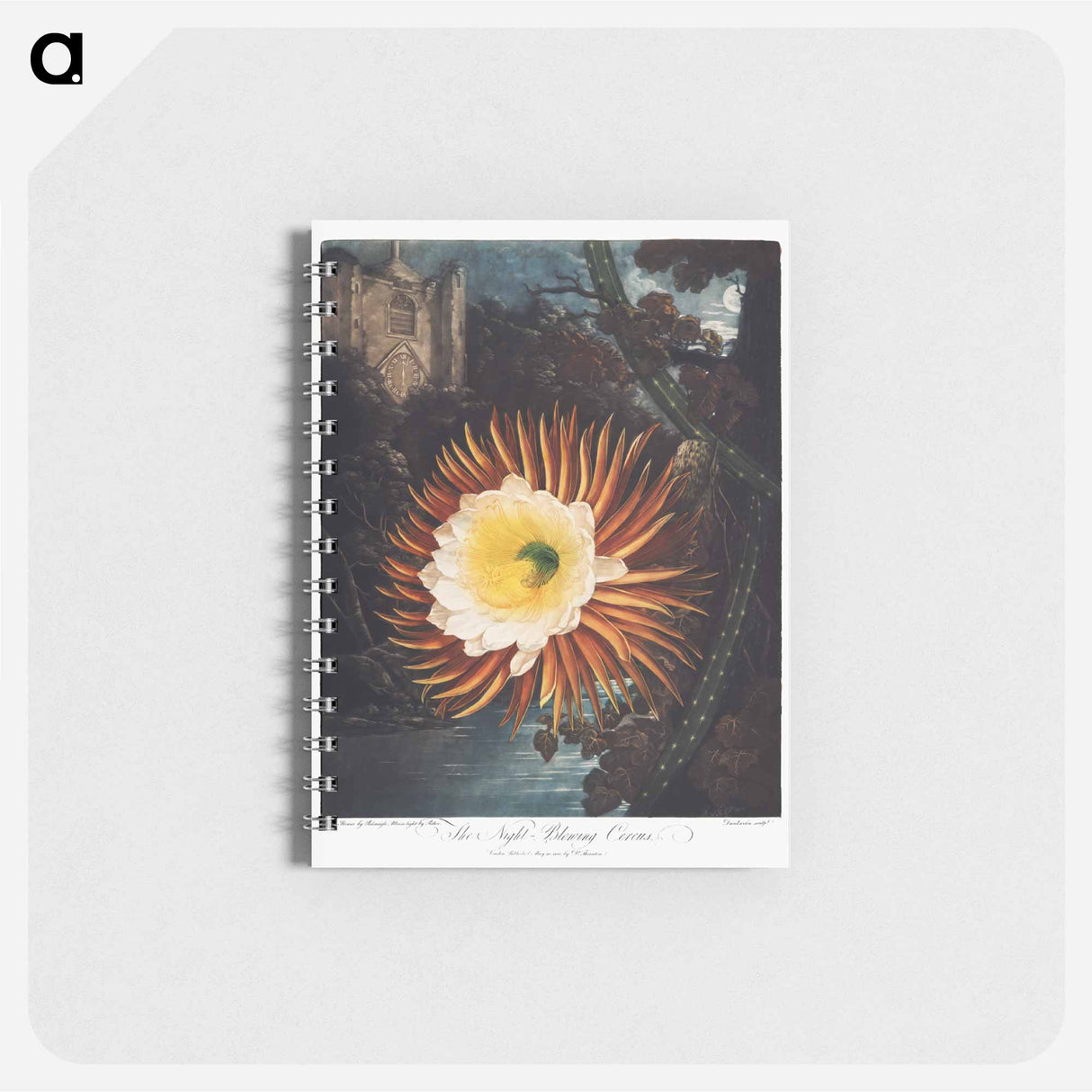 アートメモ帳-The Night–Blowing Cereus from The Temple of Flora
- ロバート ジョン ソーントン Memo.