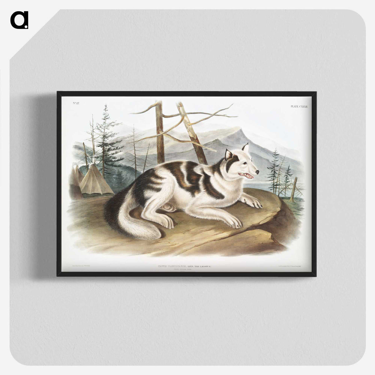 1-19_The-Viviparous-Quadrupeds_blk-crop