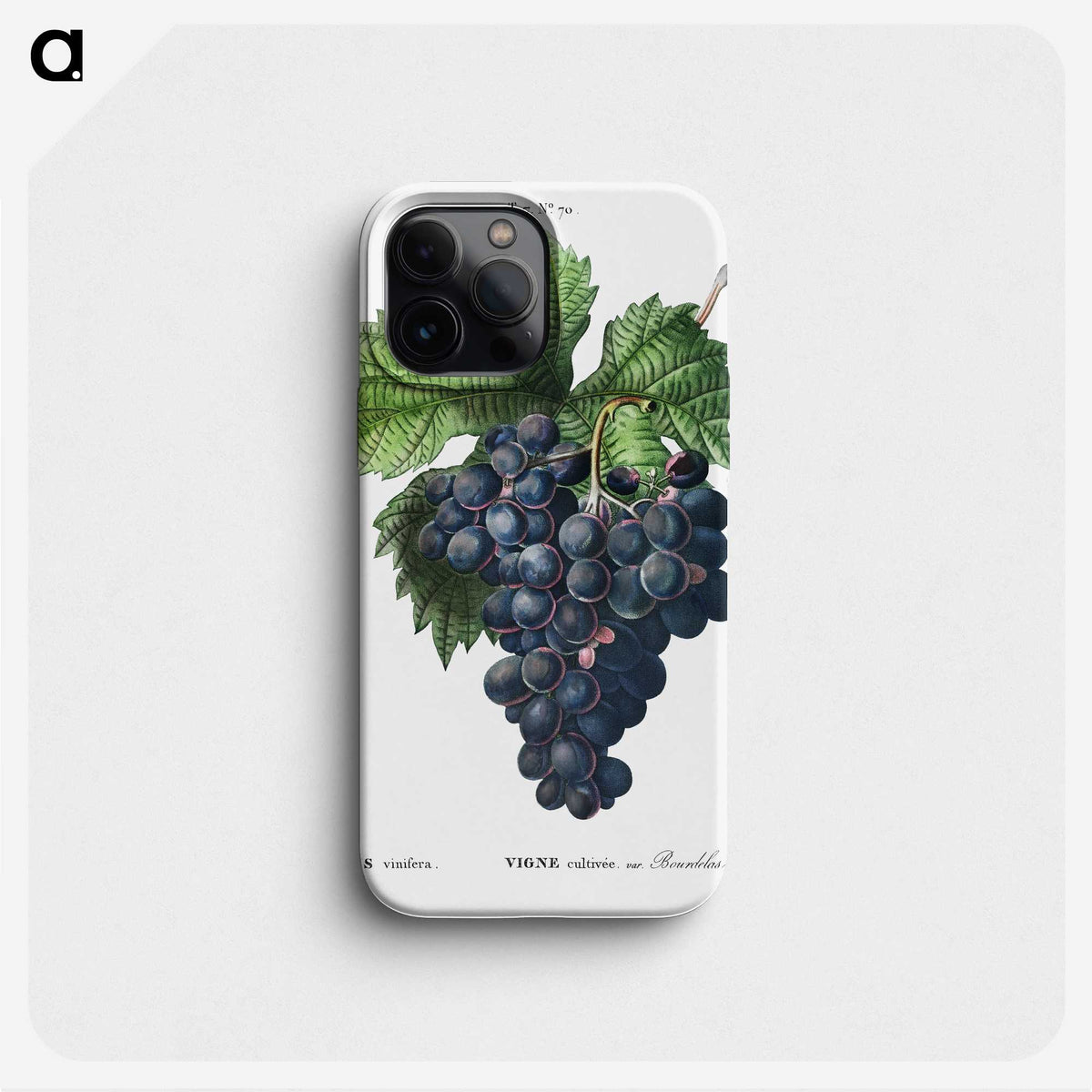 1-19_Treatise-on-Trees-and-Shrubs_phone