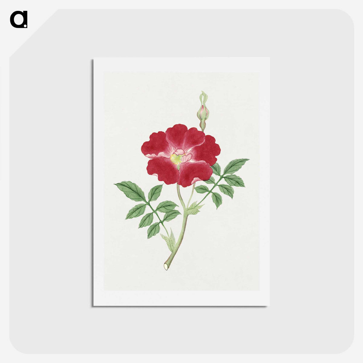 1-1_19th-Century-Japanese-Flowers_hagaki