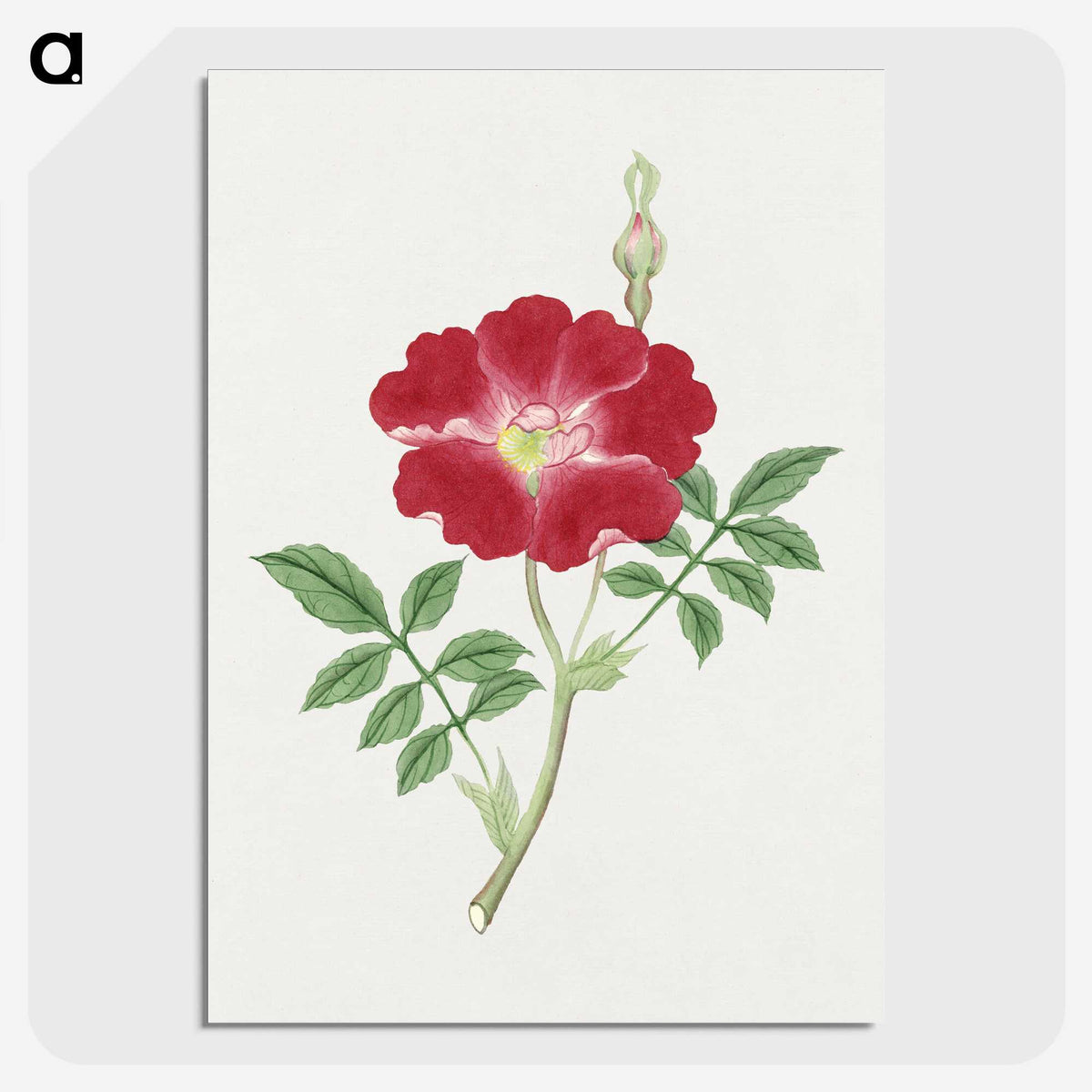 1-1_19th-Century-Japanese-Flowers_picture-crop