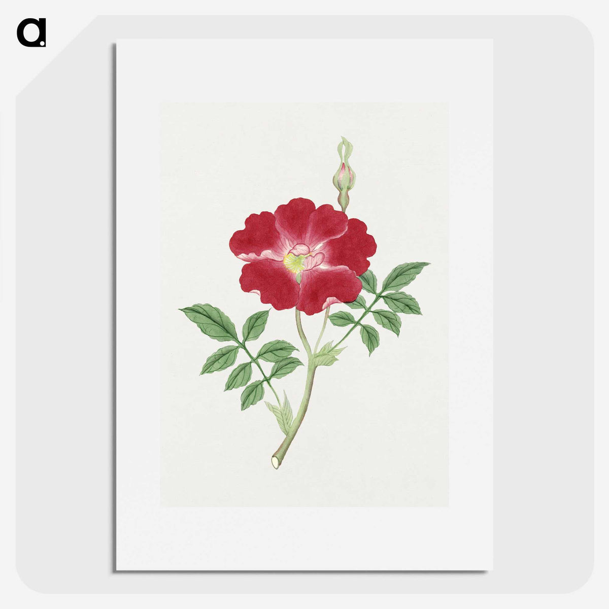 1-1_19th-Century-Japanese-Flowers_picture