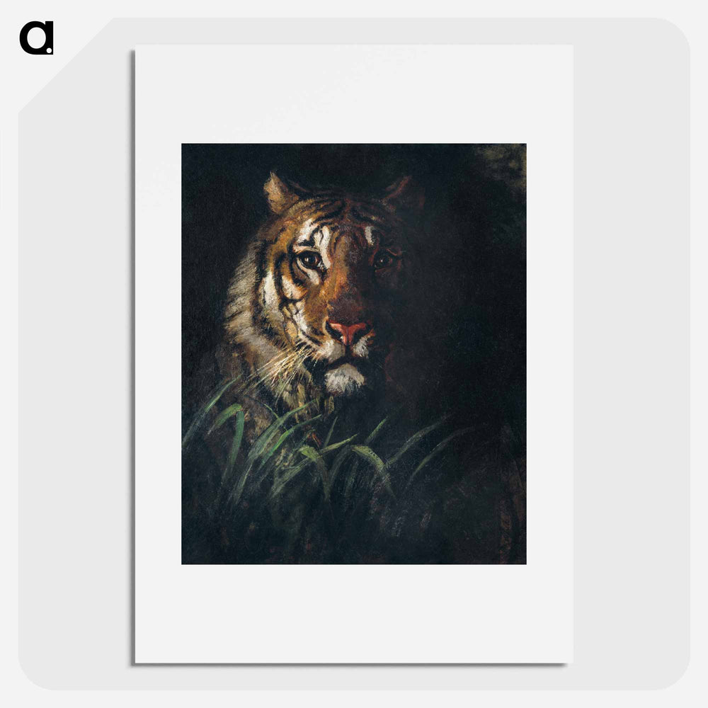 Tiger's Head - アボット ハンダーソン セイヤー Poster.