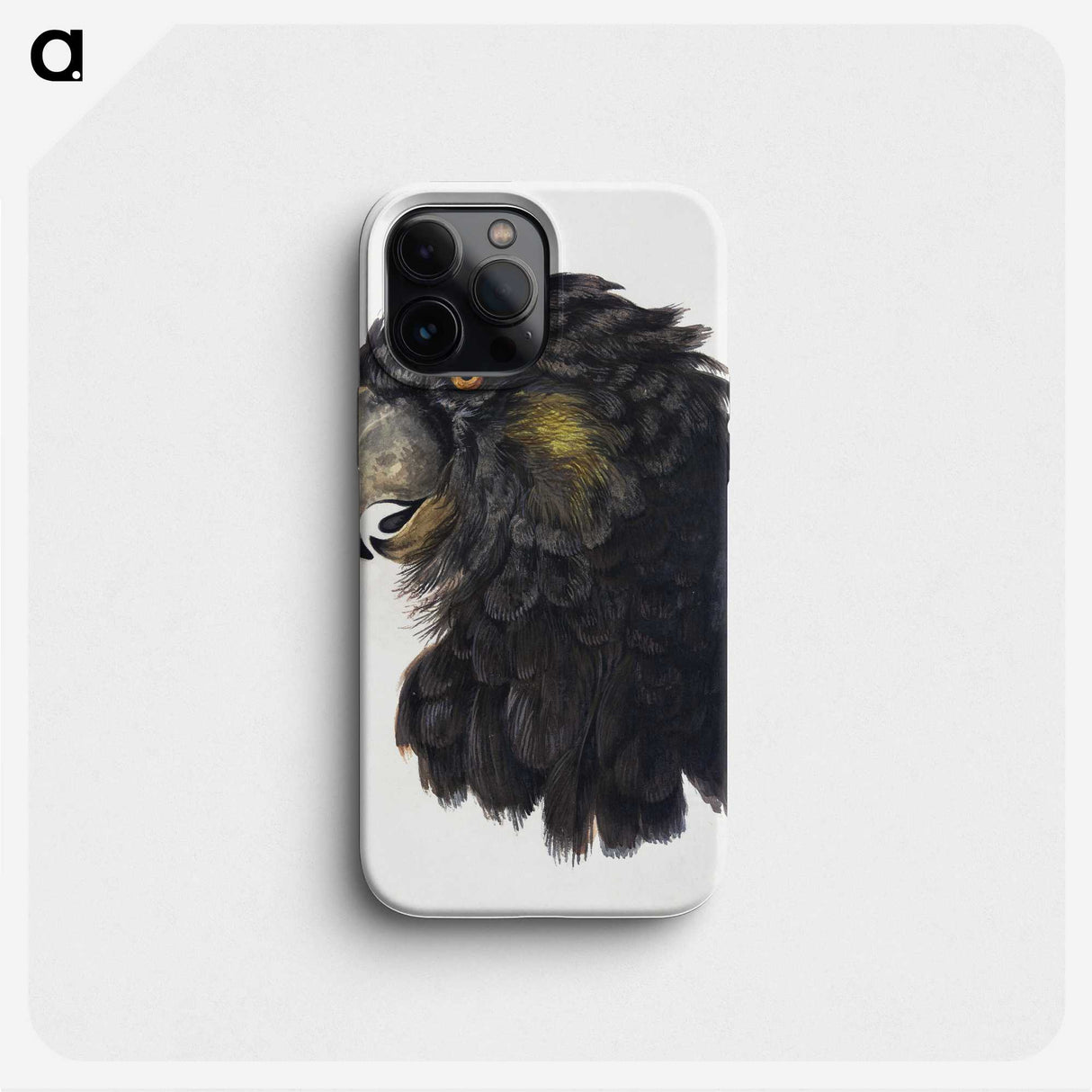 1-1_Aert-Schouman_phone