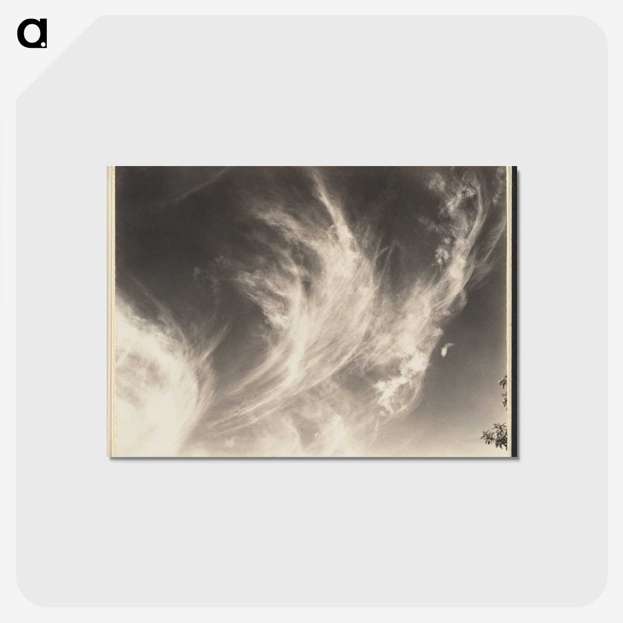 1-1_Alfred-Stieglitz_postcard