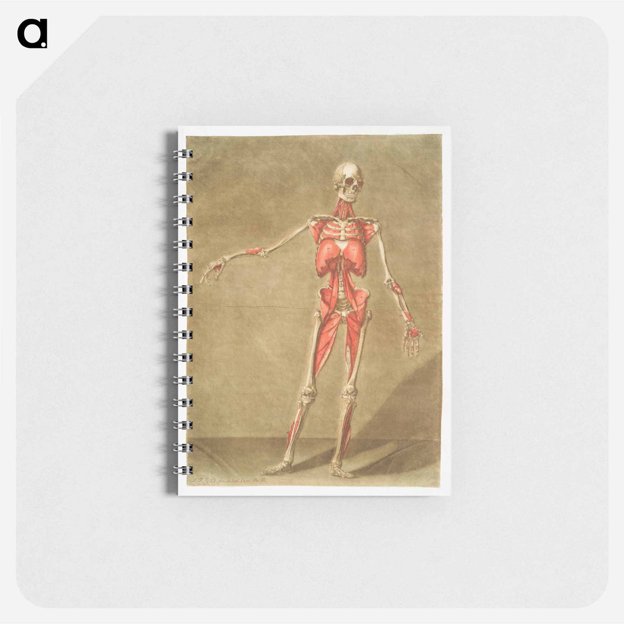 This fascinating collection of anatomical illustrations - アルノルド エロイ ゴーティエ ダゴティ Memo.