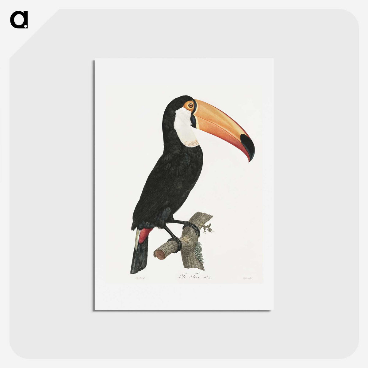 1-1_Des-Oiseaux-de-Paradis_hagaki