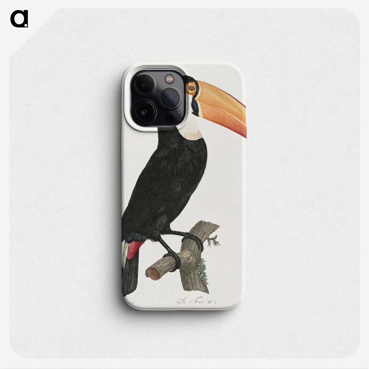 1-1_Des-Oiseaux-de-Paradis_phone