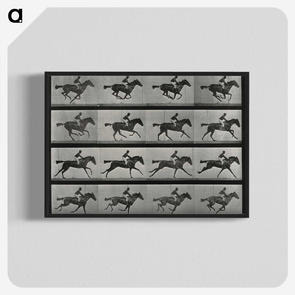 1-1_Eadweard-Muybridge_blk-crop