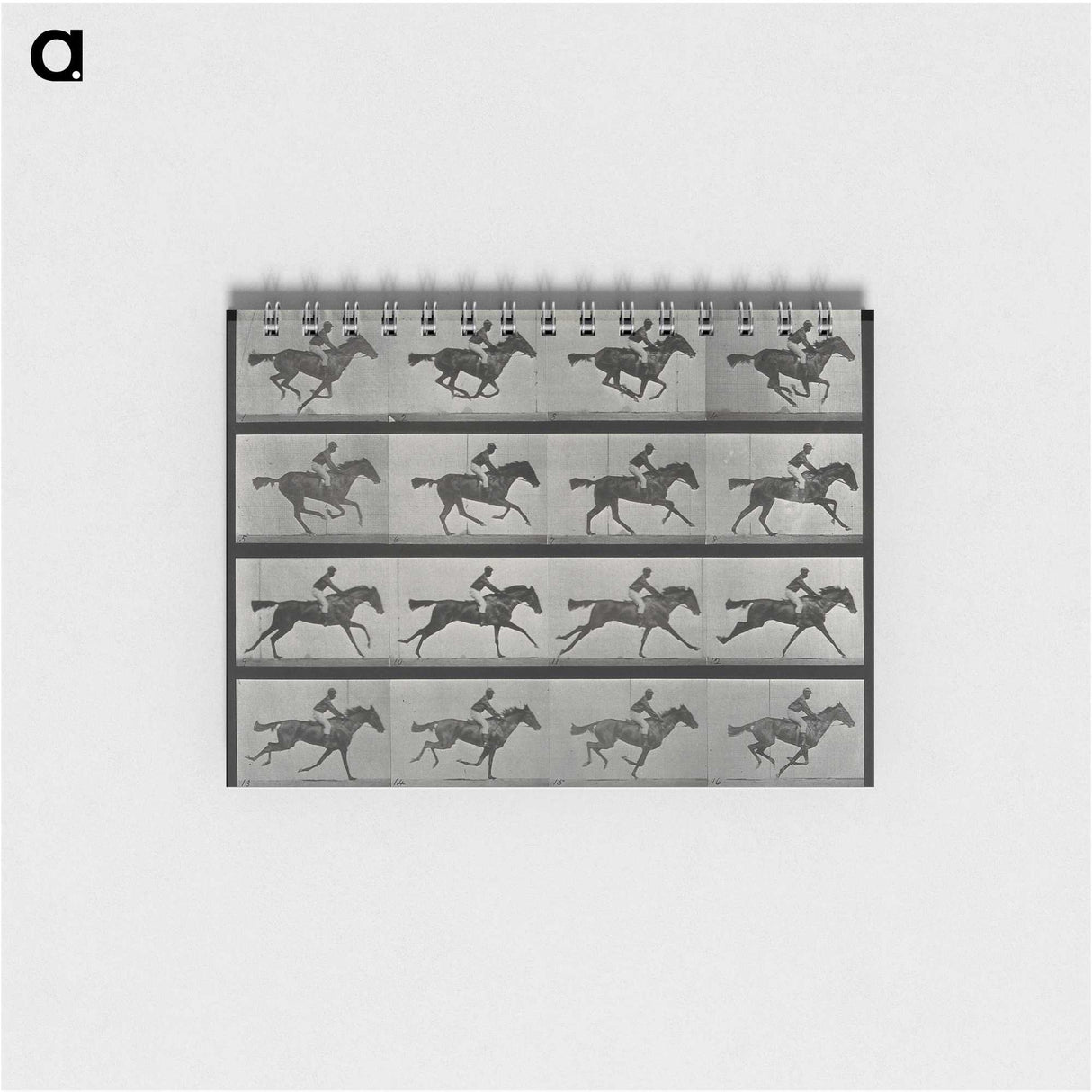 1-1_Eadweard-Muybridge_memo