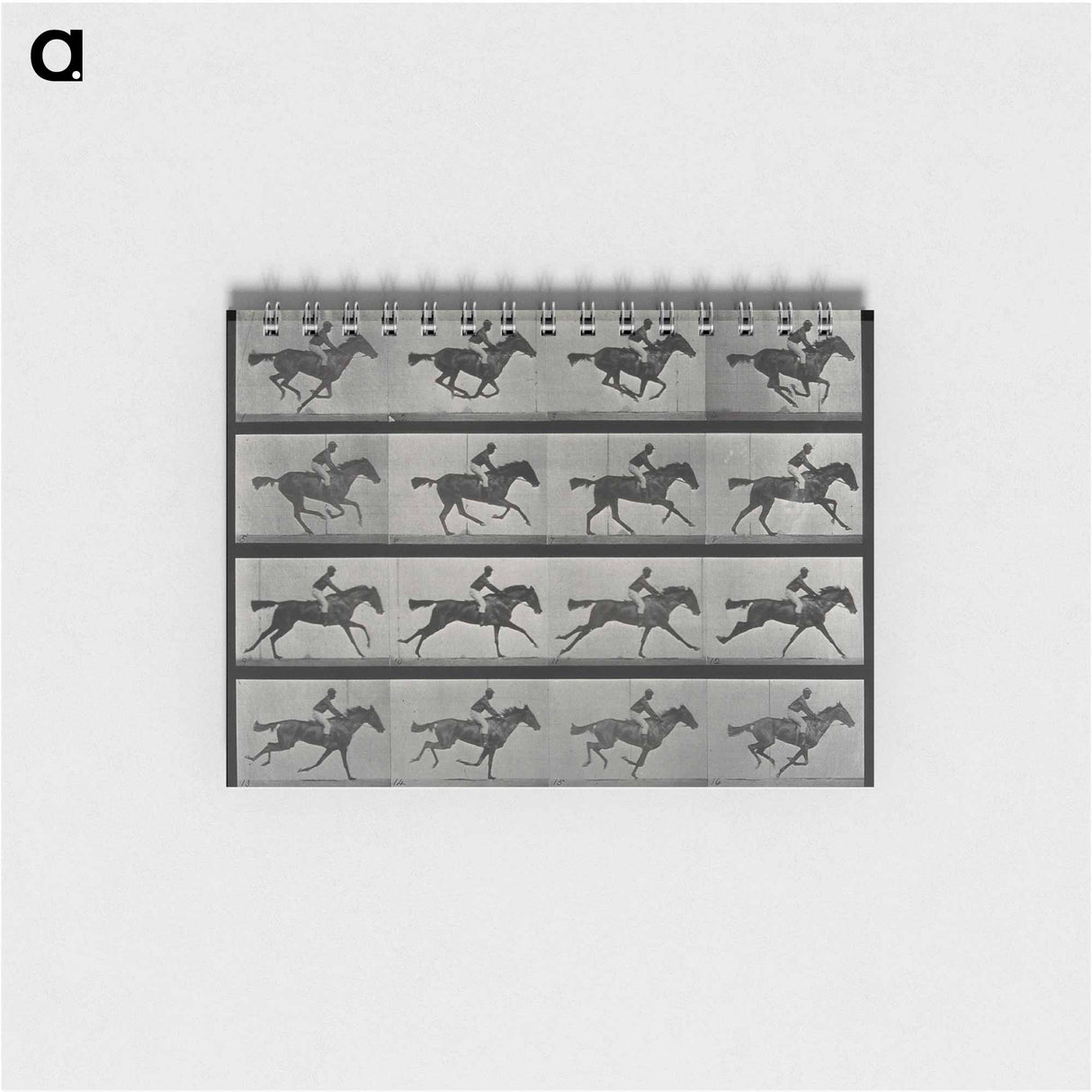 アートメモ帳-Galloping Horse and Rider
- エドワード マイブリッジ Memo.