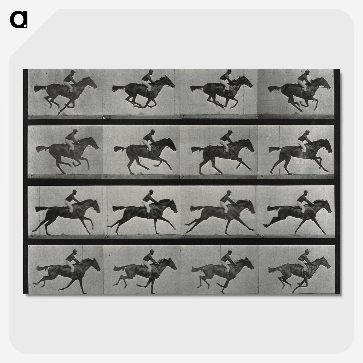1-1_Eadweard-Muybridge_picture-crop