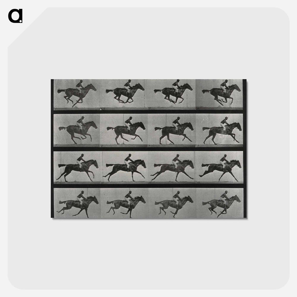 アートポストカード-Galloping Horse and Rider
- エドワード マイブリッジ Postcard.