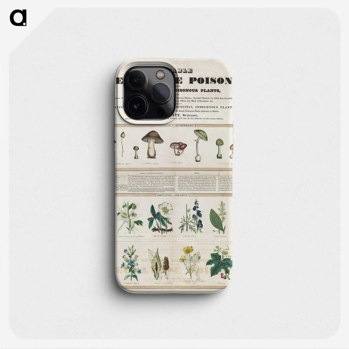 1-1_Education-Charts_phone