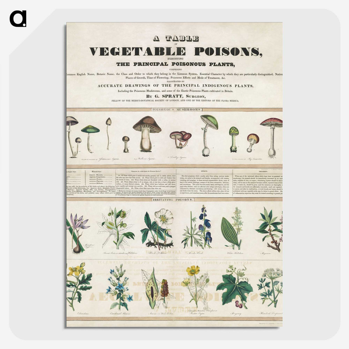 1-1_Education-Charts_picture-crop