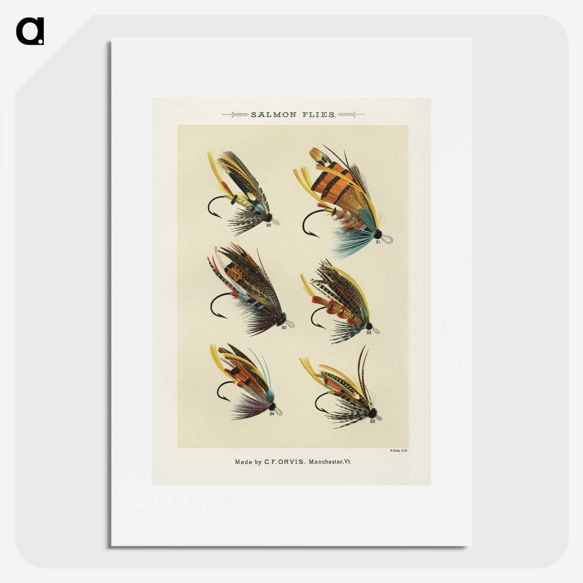 1-1_Favorite-Flies-and-Their-History_picture