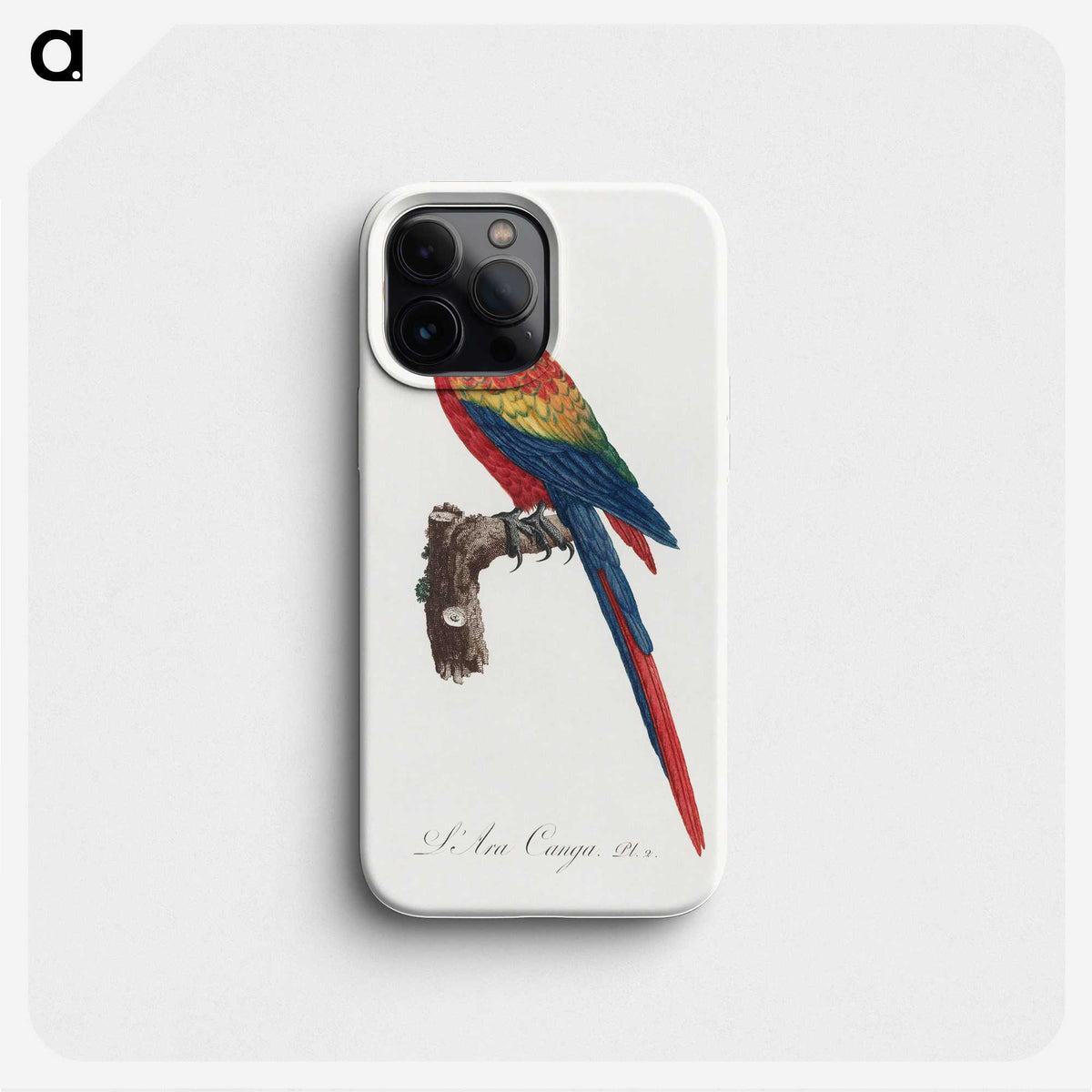 1-1_Francois-Levaillant_phone