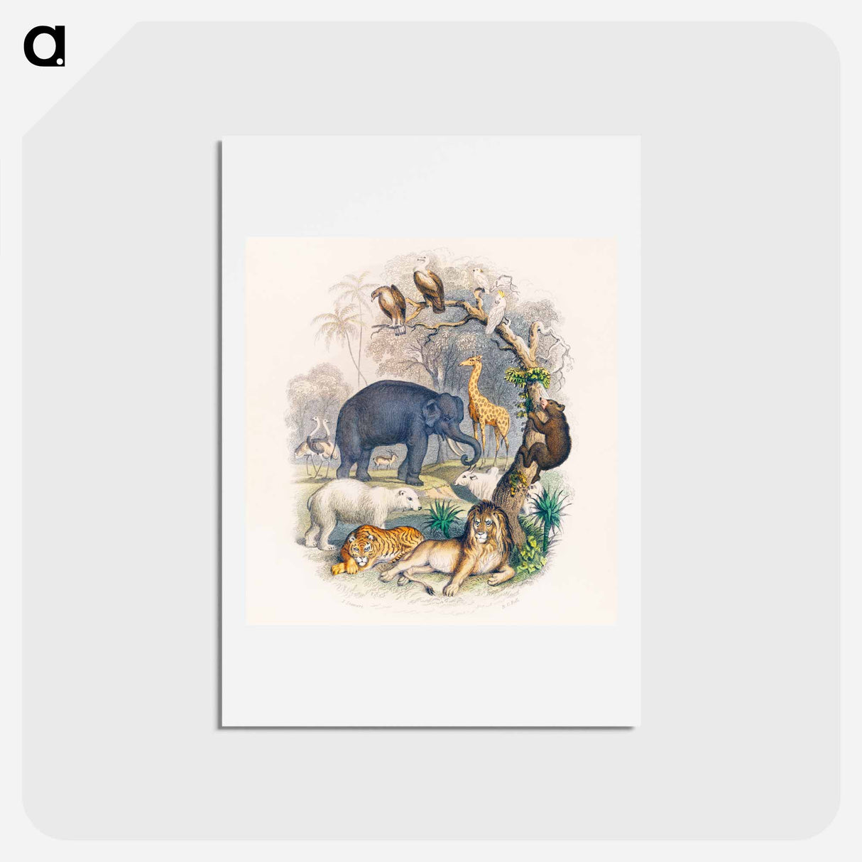 アートポストカード-A History of the Earth and Animated Nature
- ゴールドスミスの生き生きとした自然 Postcard.