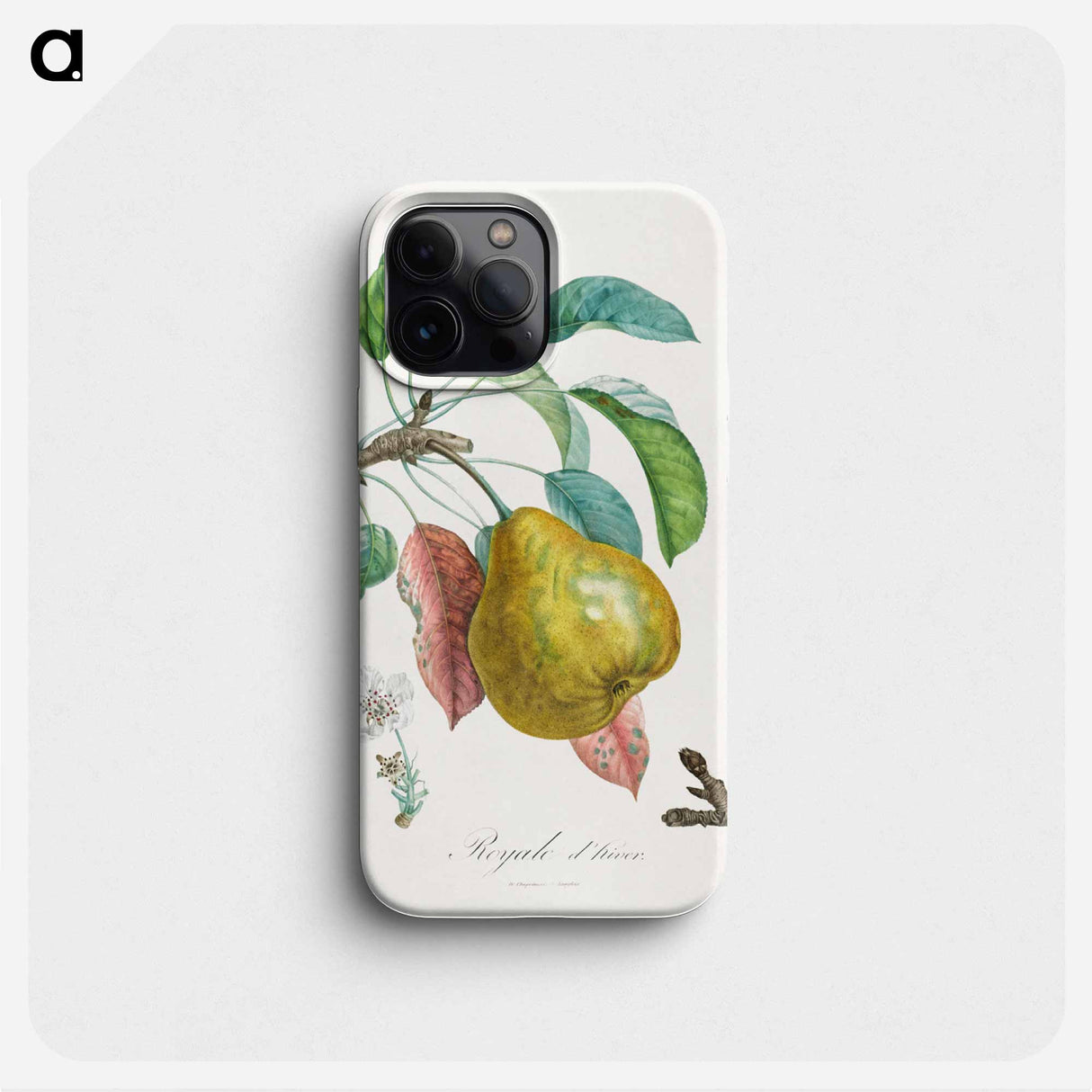 Traité des arbres fruitiers: Royal d'hiver - アンリ ルイ デュアメル デュ モンソー Phone Case.
