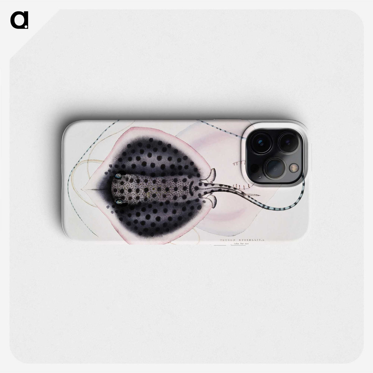 1-1_Indian-Zoology_phone