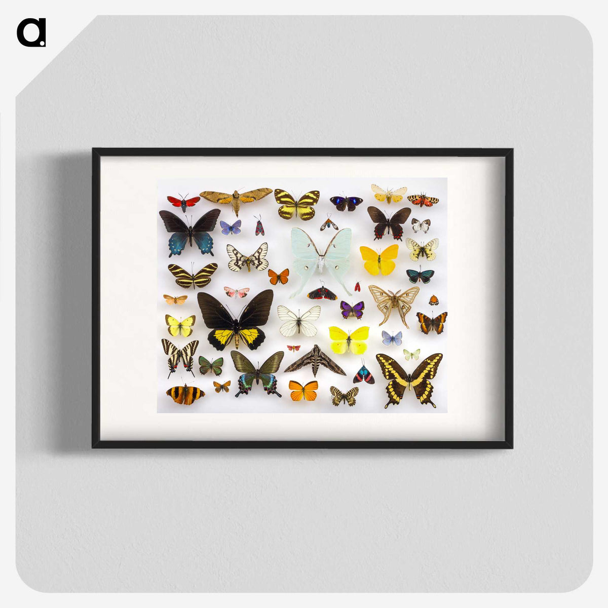 1-1_Insects-Unlocked-Project_blk