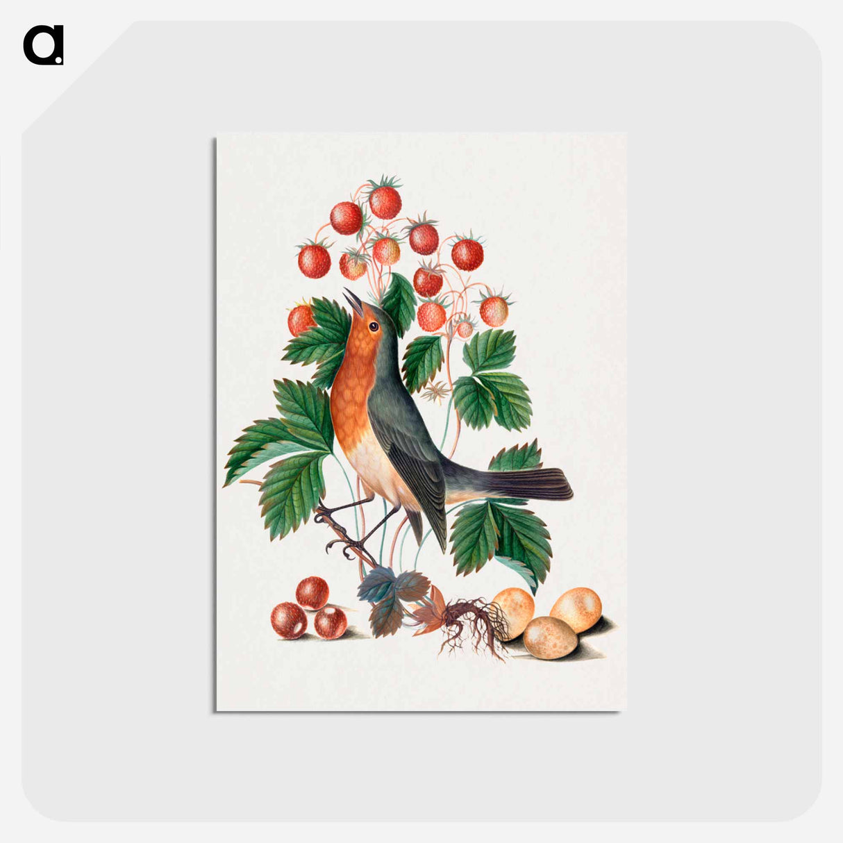 アートポストカード-European Robin and Wild Strawberry
- ジェームズ ボルトン Postcard.