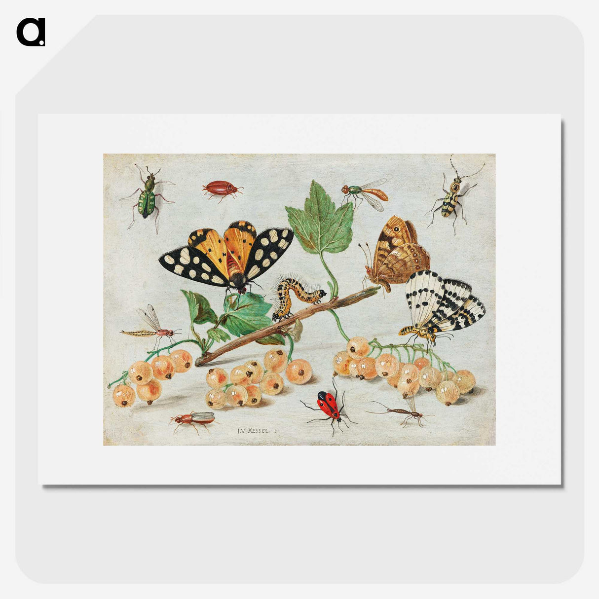 1-1_Jan-Van-Kessel_picture