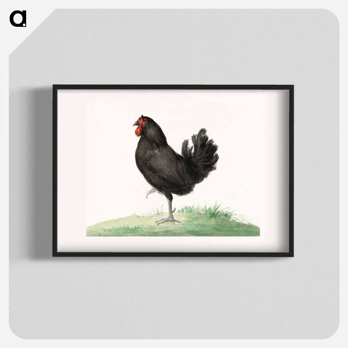 Standing black chicken drawing in high resolution by Jean Bernard. - ジャン ベルナール Poster.