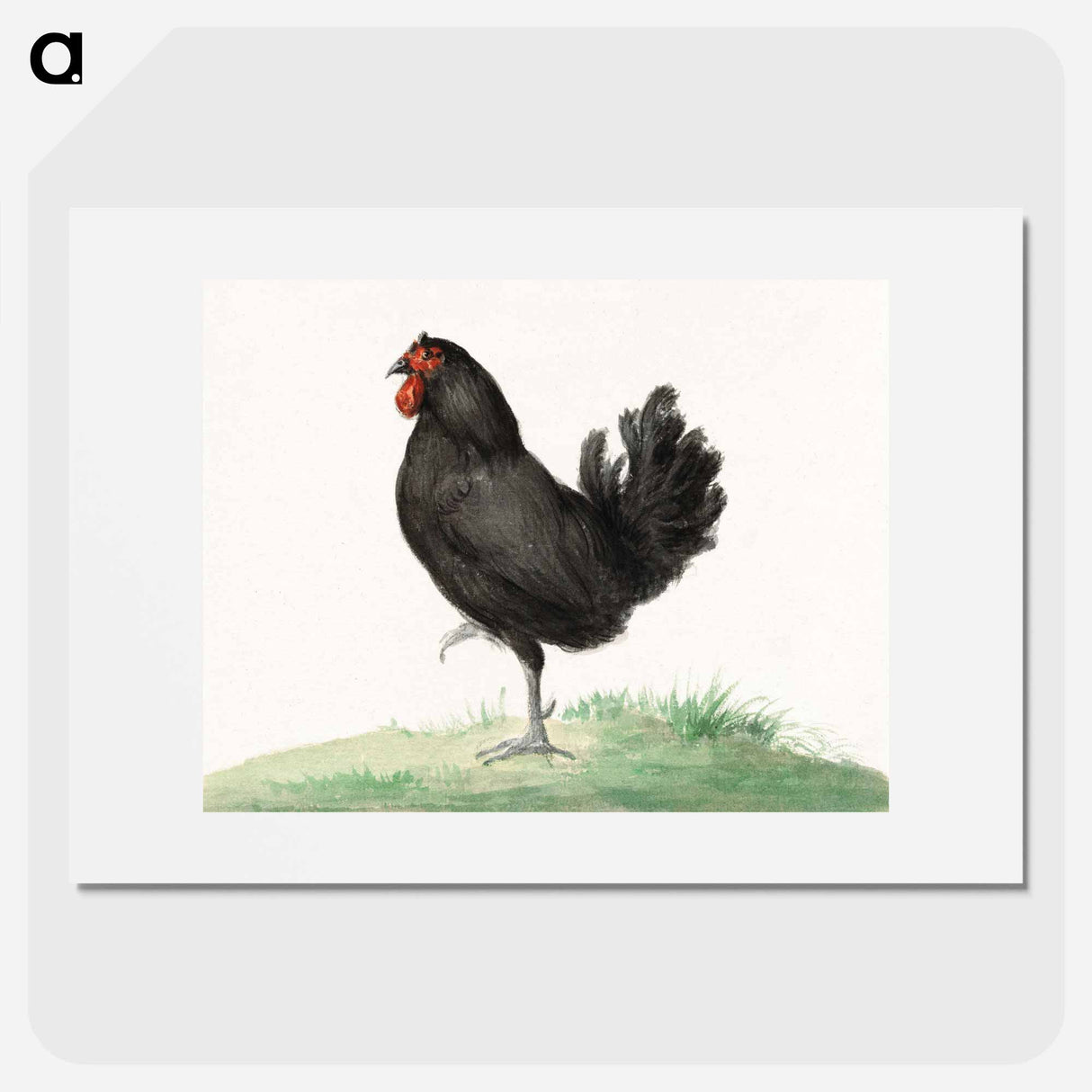 Standing black chicken drawing in high resolution by Jean Bernard. - ジャン ベルナール Poster.