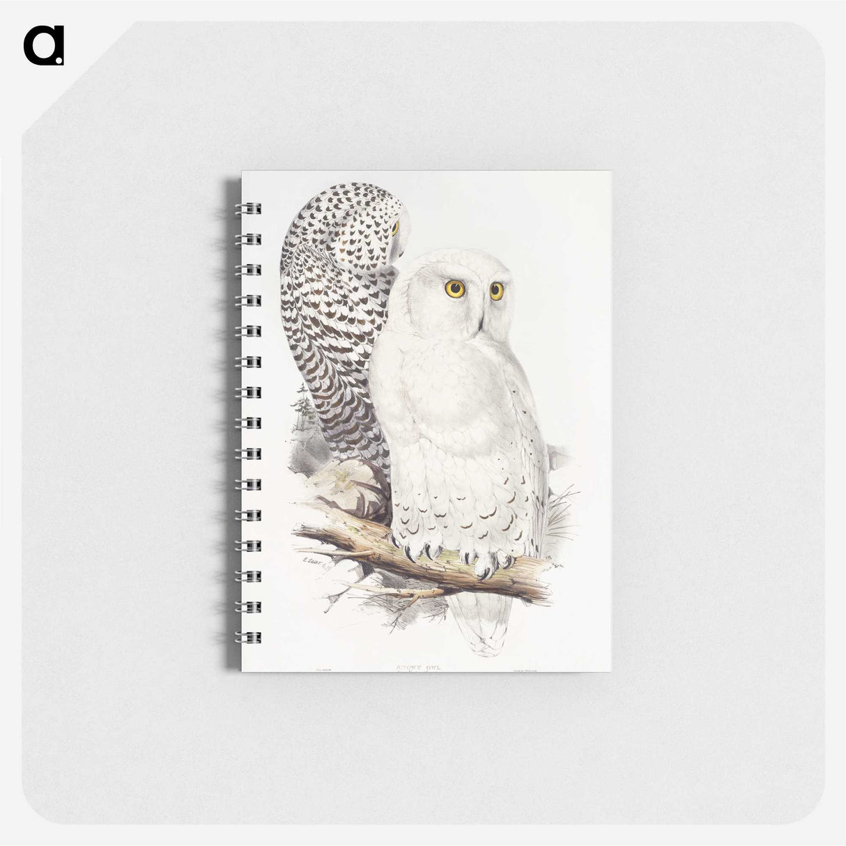 1-1_John-Gould_memo