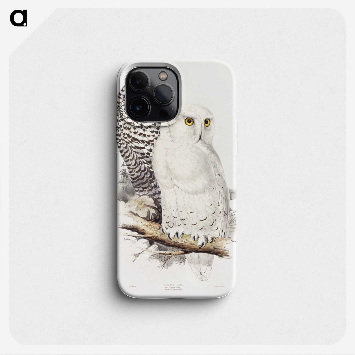 1-1_John-Gould_phone
