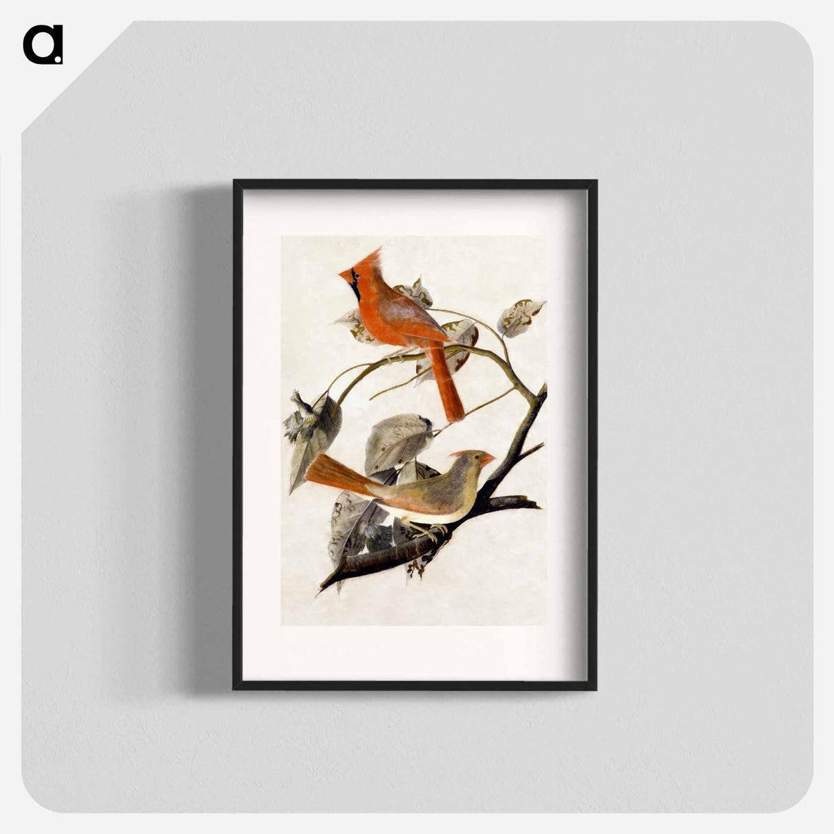 アートポスター-Cardinal Grosbeak
- ジョン ジェームス オーデュボン Poster.