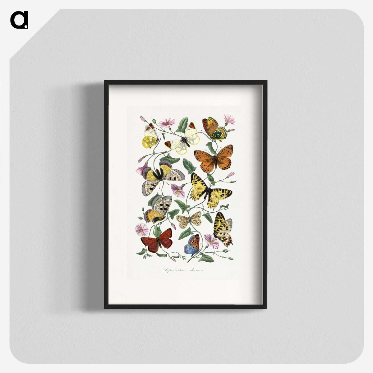 1-1_Le-Jardin-des-Plantes_blk