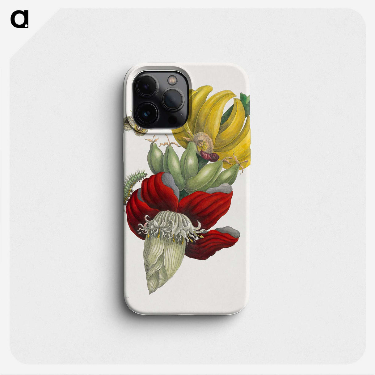 1-1_Maria-Sibylla-Merian_phone