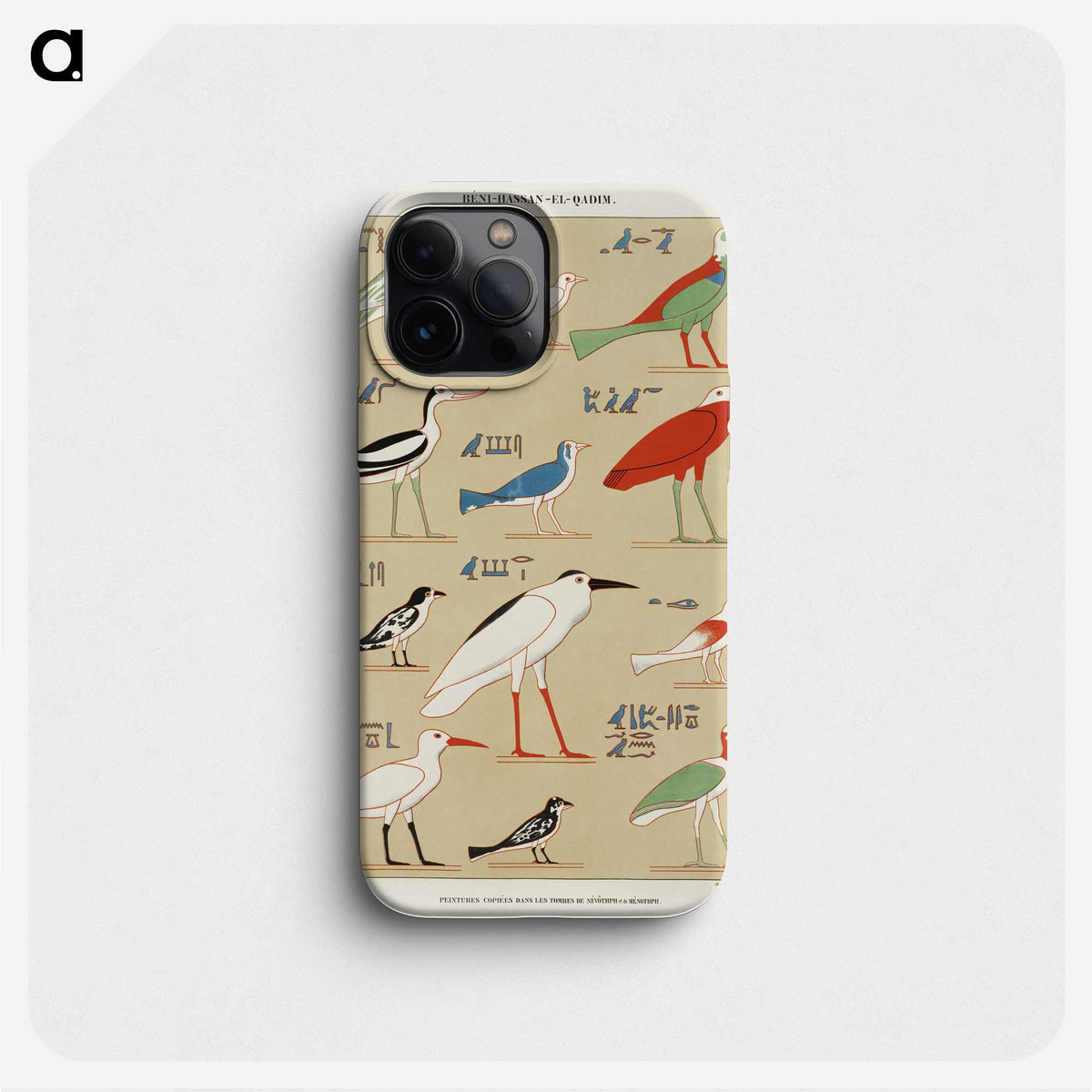 1-1_Monuments-of-Egypt-and-Nubia_phone