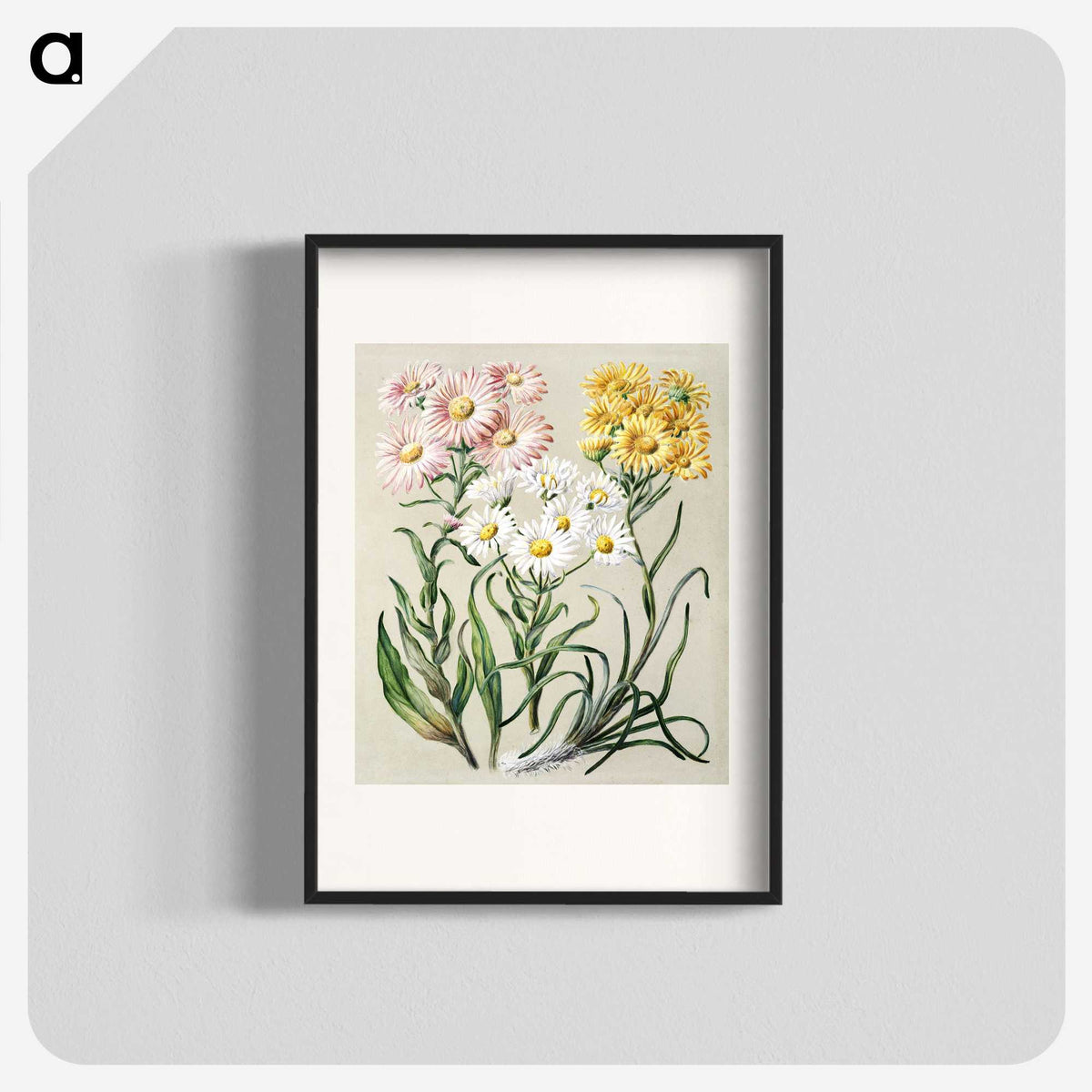 1-1_Native-Flowering-Plants-of-New-Zealand_blk