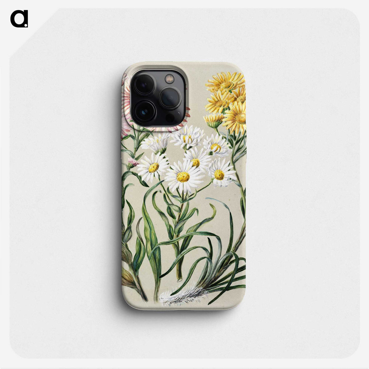 1-1_Native-Flowering-Plants-of-New-Zealand_phone