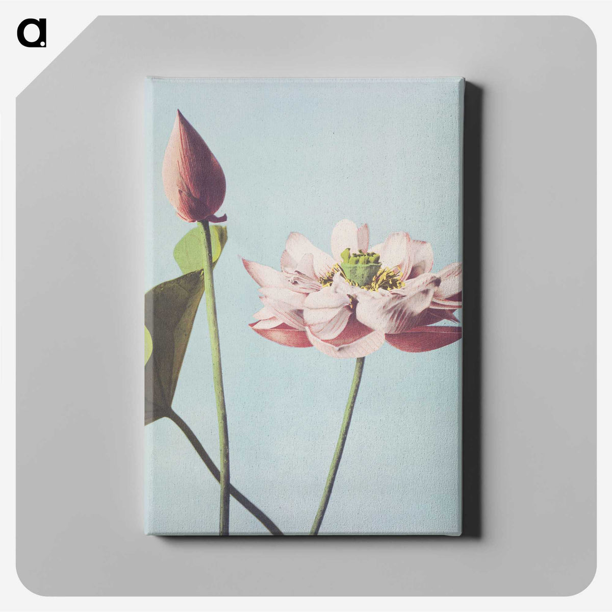 1-1_Ogawa-Kazumasa_canvas
