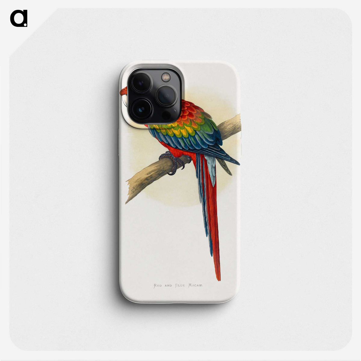 1-1_Parrots-in-Captivity_phone