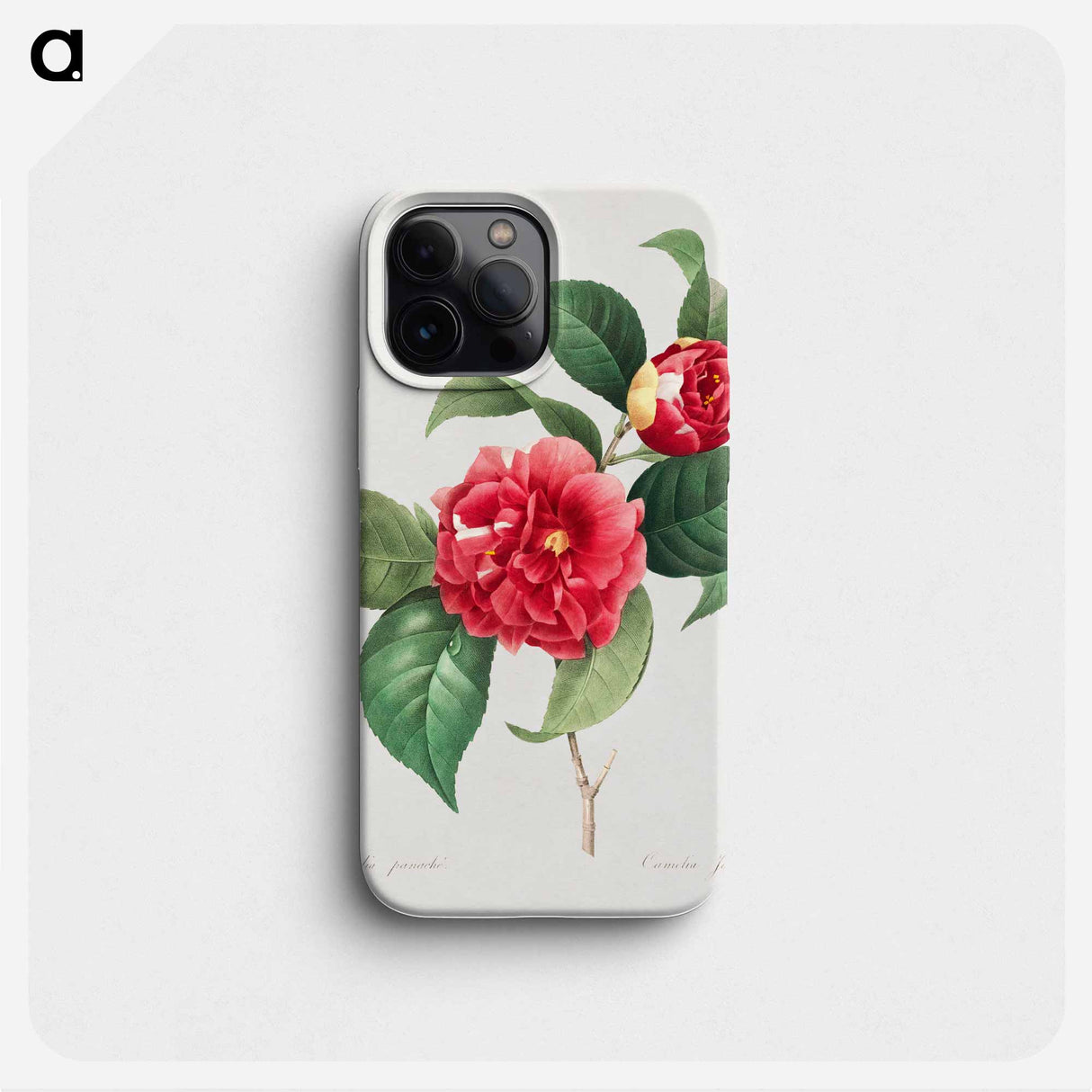 Choix des plus belles fleurs :et des plus beaux fruits - ピエール ジョゼフ ルドゥーテ Phone Case.