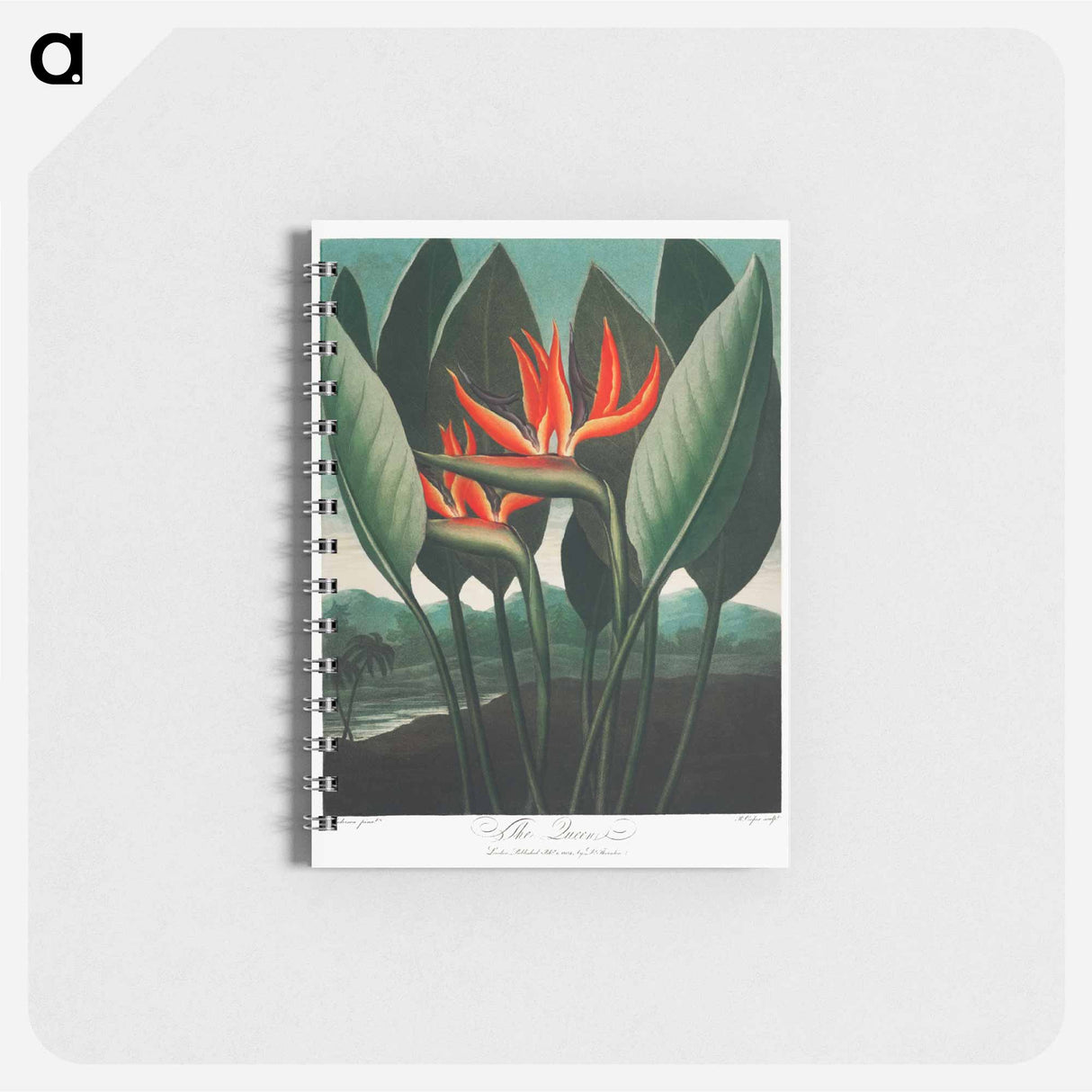 アートメモ帳-The Queen–Plant from The Temple of Flora
- ロバート ジョン ソーントン Memo.