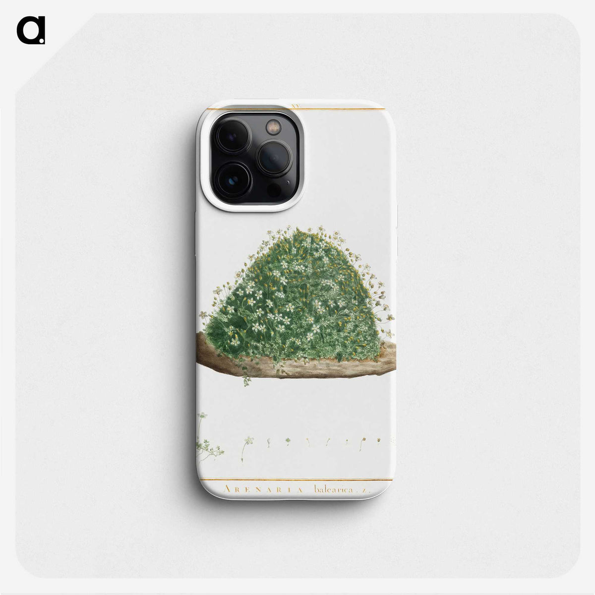 1-1_Stirpes-Novae_phone