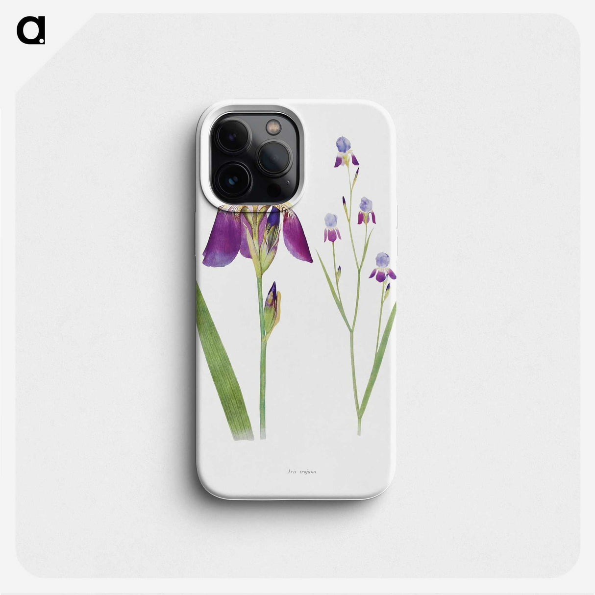 1-1_The-Genus-Iris_phone