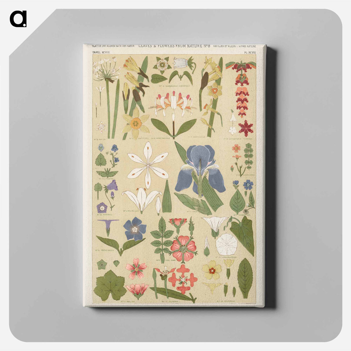 アートパネル-Nineteenth-Century Ornament
- 装飾の文法 Canvas.